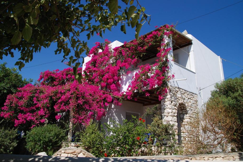 Kelly's Appartement Chrisi Akti (Paros)