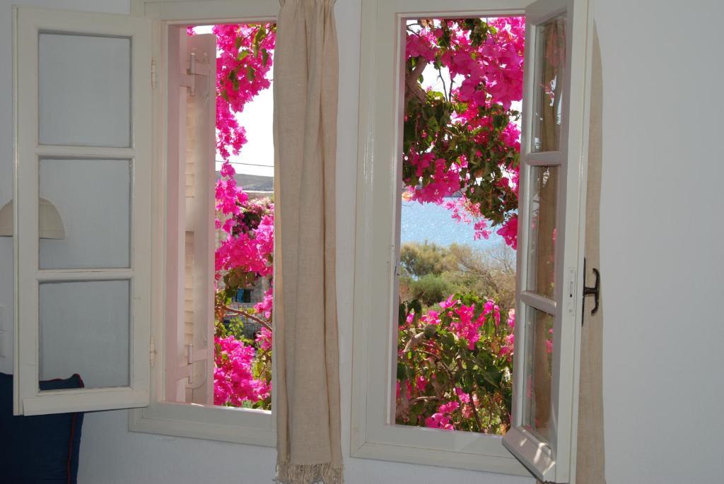 Kelly's Appartement